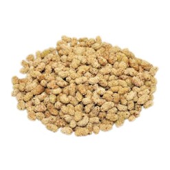 dried-seedless-mulberry