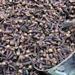 cloves buy