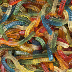 snake jellybean
